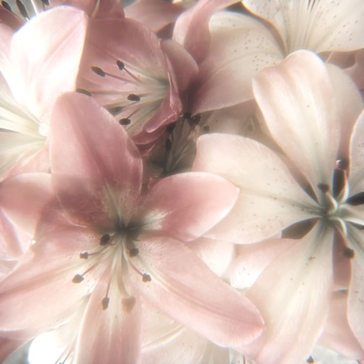 df036821 75fa 488a 99fc 04b2e86f6322